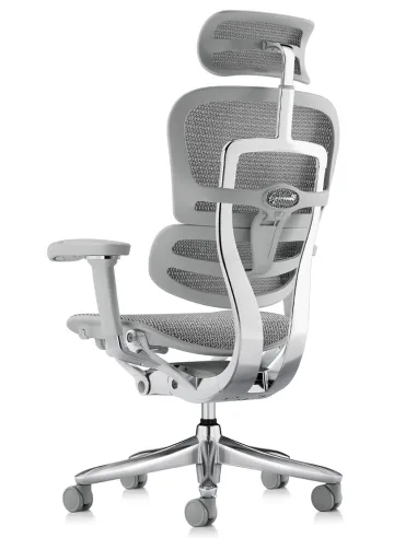 Крісло ERGOHUMAN LUXURY SE (EHSE-AG-HAM-5D-ST-D, сітка W945-24 White), ергономічне - купити Київ, Дніпро, Одеса, Львів, Харків