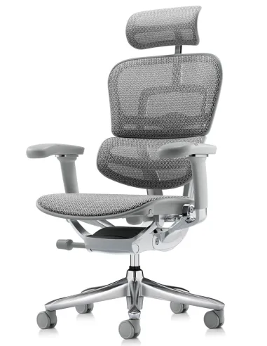 Крісло ERGOHUMAN LUXURY SE (EHSE-AG-HAM-5D-ST-D, сітка W945-24 White), ергономічне - купити Київ, Дніпро, Одеса, Львів, Харків