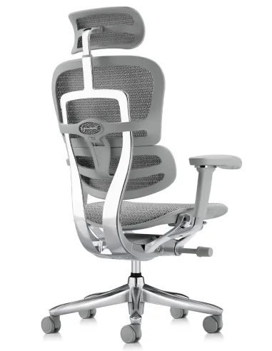 Кресло ERGOHUMAN LUXURY SE (EHSE-AB-HAM-5D-ST-D, сетка W945-24 White), эргономичное - купить Киев, Днепр, Одесса, Львов, Харьков