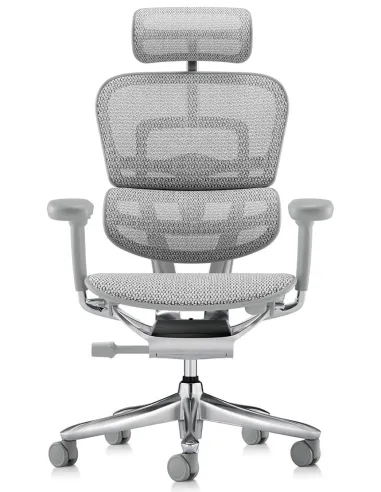 Кресло ERGOHUMAN LUXURY SE (EHSE-AB-HAM-5D-ST-D, сетка W945-24 White), эргономичное - купить Киев, Днепр, Одесса, Львов, Харьков