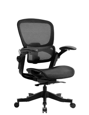 КРІСЛО HINOMI H1 CLASSIC V3 BLACK, ергономічне - купити Київ, Дніпро, Одеса, Львів, Харків