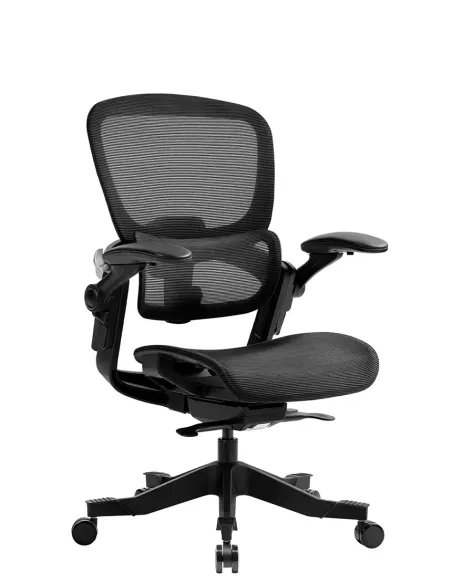 КРІСЛО HINOMI H1 CLASSIC V3 BLACK, ергономічне - купити Київ, Дніпро, Одеса, Львів, Харків