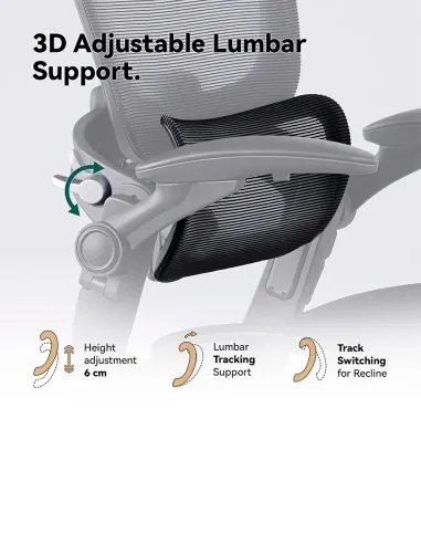 КРІСЛО HINOMI H1 CLASSIC V3 BLACK, ергономічне - купити Київ, Дніпро, Одеса, Львів, Харків