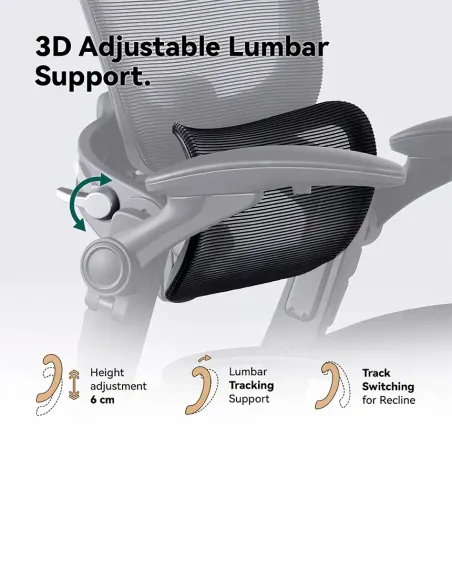 КРІСЛО HINOMI H1 CLASSIC V3 BLACK, ергономічне - купити Київ, Дніпро, Одеса, Львів, Харків