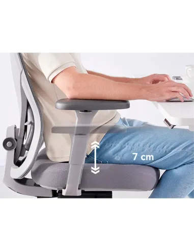 КРЕСЛО HINOMI Q1 GREY, эргономичное - купить Киев, Днепр, Одесса, Львов, Харьков