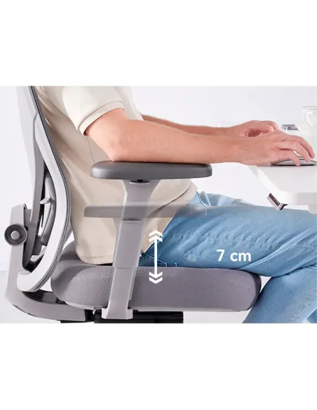 КРІСЛО HINOMI Q1 GREY, ергономічне - купити Київ, Дніпро, Одеса, Львів, Харків