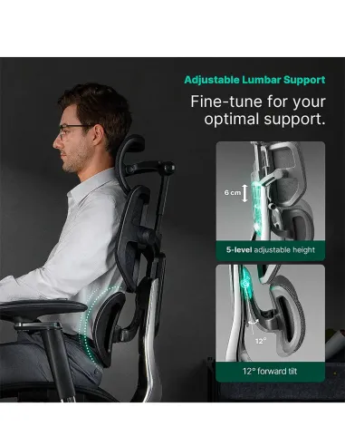 КРЕСЛО HINOMI X2 PRO BLACK, эргономичное - купить Киев, Днепр, Одеса, Львов, Харьков