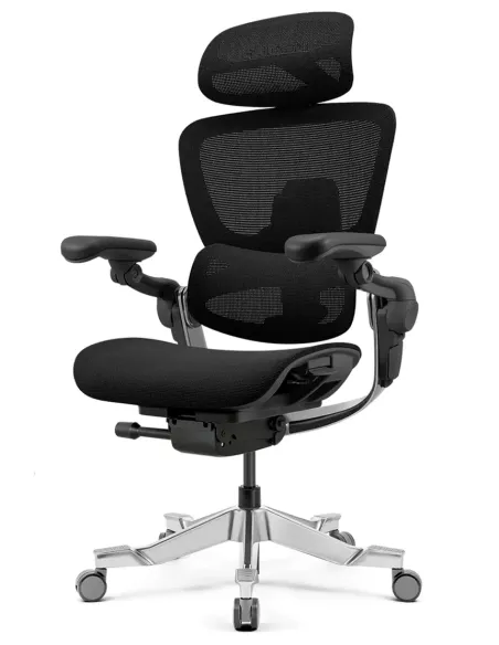 КРЕСЛО HINOMI H2 PRO COAL BLACK, эргономичное, с подставкой для ног - купить Киев, Днепр, Одесса, Львов, Харьков