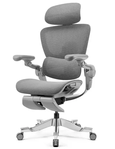 КРЕСЛО HINOMI H2 PRO MOON GREY, эргономичное, с подставкой для ног - купить Киев, Днепр, Одесса, Львов, Харьков