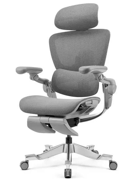 КРЕСЛО HINOMI H2 PRO MOON GREY, эргономичное, с подставкой для ног - купить Киев, Днепр, Одесса, Львов, Харьков