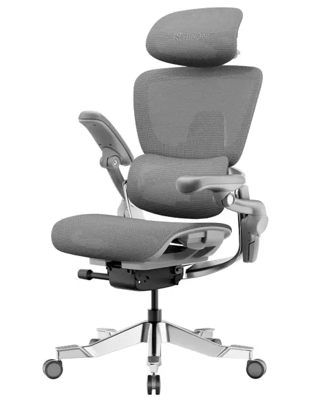 КРЕСЛО HINOMI H2 PRO MOON GREY, эргономичное, с подставкой для ног - купить Киев, Днепр, Одесса, Львов, Харьков