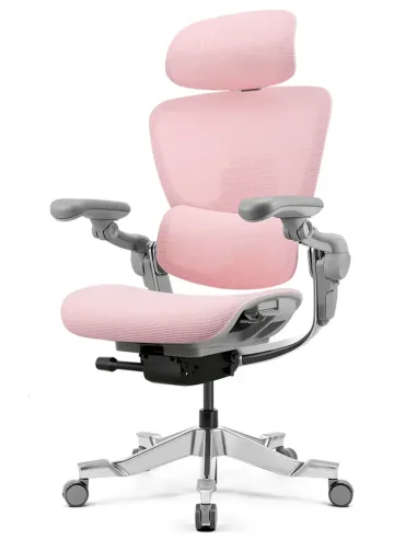 КРІСЛО HINOMI H2 PRO MIST PINK, ергономічне, з підставкою для ніг - купити Київ, Дніпро, Одеса, Львів, Харків