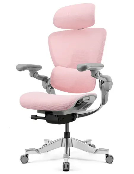 КРЕСЛО HINOMI H2 PRO MIST PINK, эргономичное, с подставкой для ног - купить Киев, Днепр, Одесса, Лбвов, Харьков