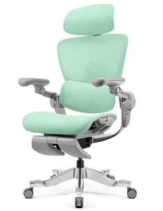 КРЕСЛО HINOMI H2 PRO MINT GREEN, эргономичное, с подставкой для ног - купить Киев, Днепр, Одесса, Львов, Харьков