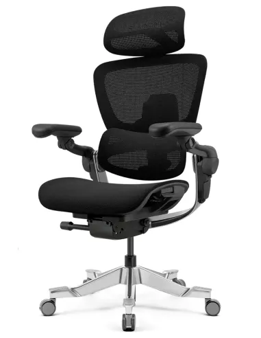 КРЕСЛО HINOMI H2 PRO COAL BLACK, эргономичное - купить Киев, Днепр, Одесса, Львов, Харьков