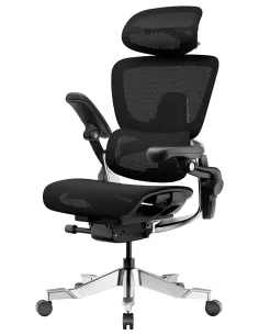 КРІСЛО HINOMI H2 PRO COAL BLACK, ергономічне - купити Київ, Дніпро, Одеса, Львів, Харків 2