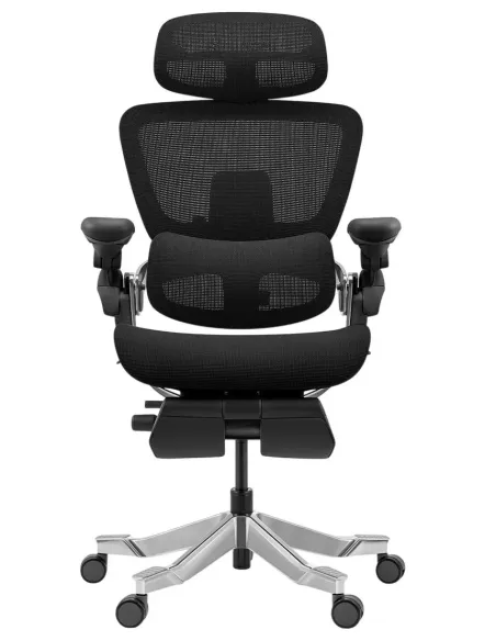 КРІСЛО HINOMI H2 PRO COAL BLACK, ергономічне - купити Київ, Дніпро, Одеса, Львів, Харків