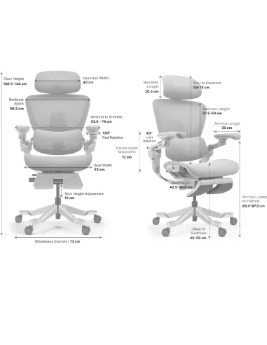 КРІСЛО HINOMI H2 PRO COAL BLACK, ергономічне - купити Київ, Дніпро, Одеса, Львів, Харків