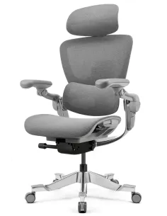 КРЕСЛО HINOMI H2 PRO MOON GREY, эргономичное - купить Киев, Днепр, Одесса, Львов, Харьков