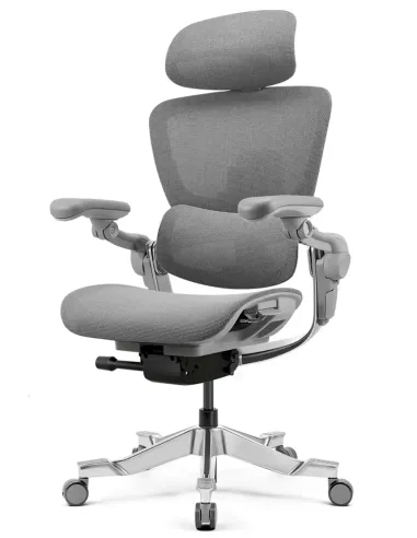КРЕСЛО HINOMI H2 PRO MOON GREY, эргономичное - купить Киев, Днепр, Одесса, Львов, Харьков
