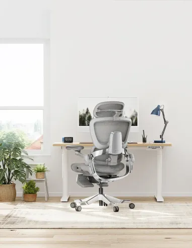 КРЕСЛО HINOMI H2 PRO MOON GREY, эргономичное - купить Киев, Днепр, Одесса, Львов, Харьков