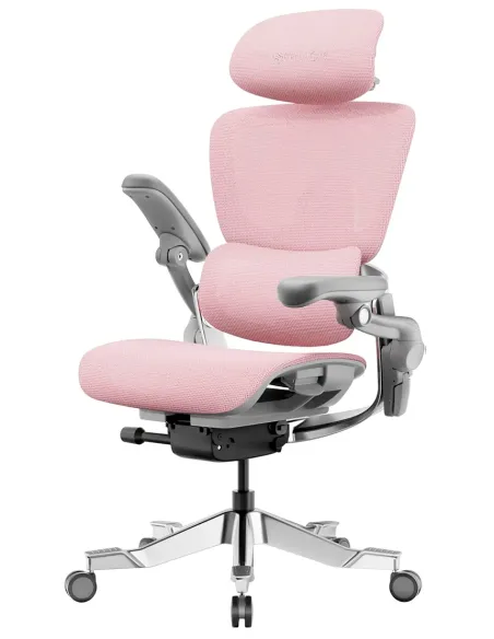КРІСЛО HINOMI H2 PRO MIST PINK, ергономічне - купити Київ, Дніпро, Одеса, Львів, Харків