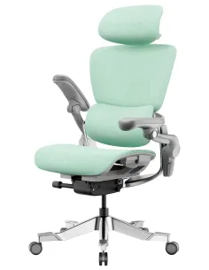 КРІСЛО HINOMI H2 PRO MINT GREEN, ергономічне - купити Київ, Дніпро, Одеса, Львів, Харків 2