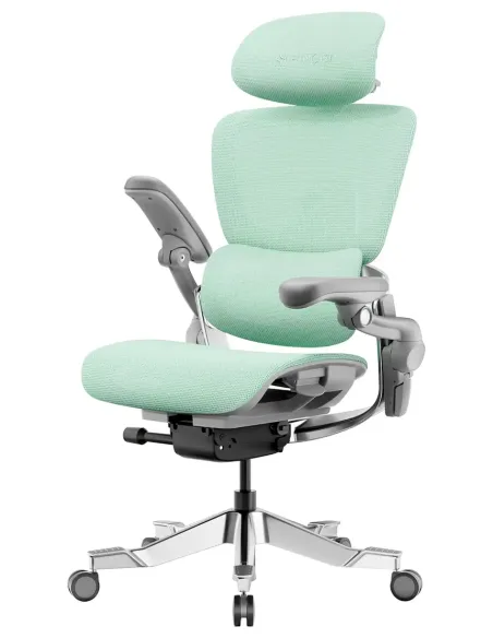 КРЕСЛО HINOMI H2 PRO MINT GREEN, эргономичное - купить Киев, Днепр, Одесса, Харьков
