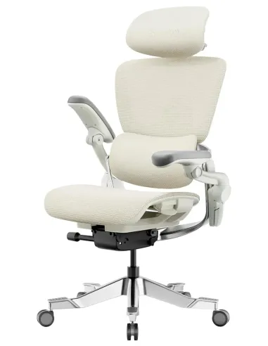 КРІСЛО HINOMI H2 PRO CREAM WHITE, ергономічне - купити Київ, Дніпро, Одеса, Львів, Харків