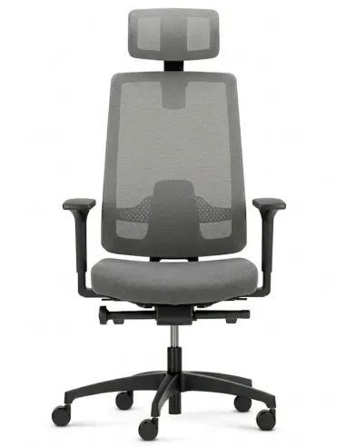 Кресло DAUPHIN INDEED ID 7058 BLACK эргономичное - купить Киев, Днепр, Одесса, Львов, Харьков