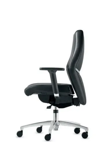 Кресло DAUPHIN TEC 24/7 CLASSIC IS 1959, для круглосуточного использования - купить Киев, Днепр, Одесса, Львов, Харьков