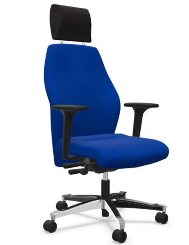 Кресло DAUPHIN TEC 24/7 CLASSIC IS 1959, для круглосуточного использования - купить Киев, Днепр, Одесса, Львов, Харьков