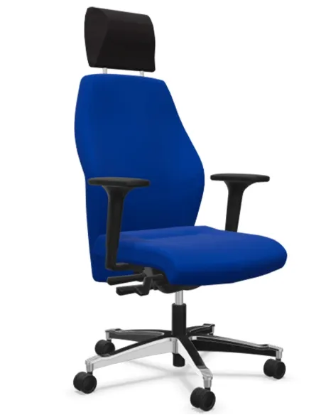 Кресло DAUPHIN TEC 24/7 CLASSIC IS 1959, для круглосуточного использования - купить Киев, Днепр, Одесса, Львов, Харьков