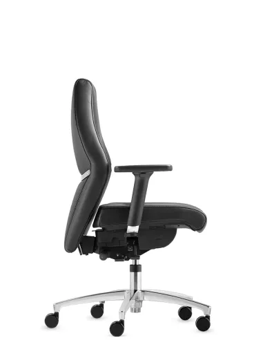 Крісло DAUPHIN TEC 24/7 CLASSIC IS 1959, для цілодобового використання - купити Київ, Дніпро, Одеса, Львів, Харків