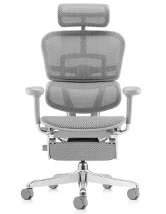Кресло ERGOHUMAN ELITE 2 (EHE2-AG-HAM-5D-L-LM, сетка T-168-B2 Natural), эргономичное, с подставкой под ноги 2