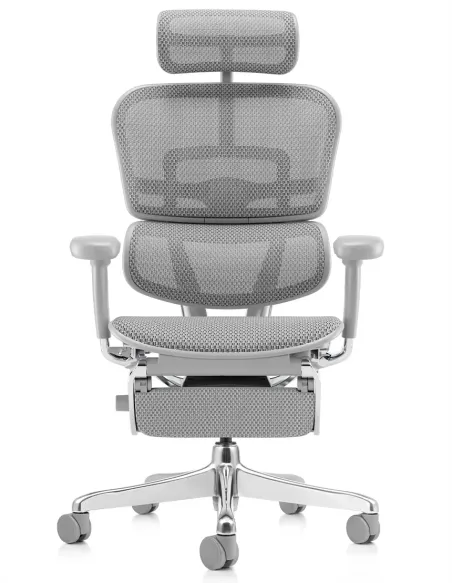 Кресло ERGOHUMAN ELITE 2 (EHE2-AG-HAM-5D-L-LM, сетка T-168-B2 Natural), эргономичное, с подставкой под ноги
