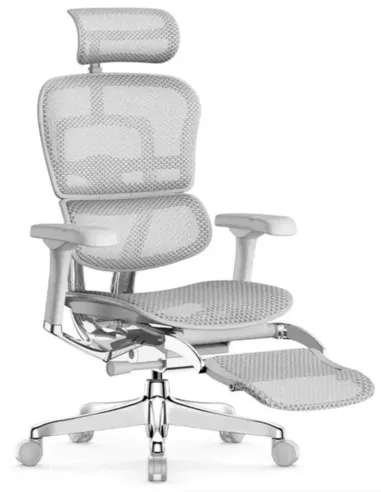 Кресло ERGOHUMAN ELITE 2 (EHE2-AG-HAM-5D-L-LM, сетка T-168-B2 Natural), эргономичное, с подставкой под ноги