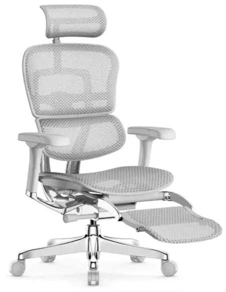 Кресло ERGOHUMAN ELITE 2 (EHE2-AG-HAM-5D-L-LM, сетка T-168-B2 Natural), эргономичное, с подставкой под ноги