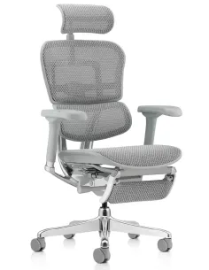 Крісло ERGOHUMAN ELITE 2 (EHE2-AG-HAM-5D-L-LM, сітка T-168-B2 Natural), ергономічне, з підставкою під ноги