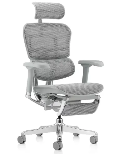 Крісло ERGOHUMAN ELITE 2 (EHE2-AG-HAM-5D-L-LM, сітка T-168-B2 Natural), ергономічне, з підставкою під ноги