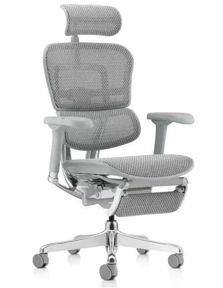 Кресло ERGOHUMAN ELITE 2 (EHE2-AG-HAM-5D-L-LM, сетка T-168-B2 Natural), эргономичное, с подставкой под ноги