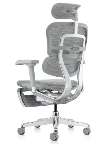 Кресло ERGOHUMAN ELITE 2 (EHE2-AG-HAM-5D-L-LM, сетка T-168-B2 Natural), эргономичное, с подставкой под ноги
