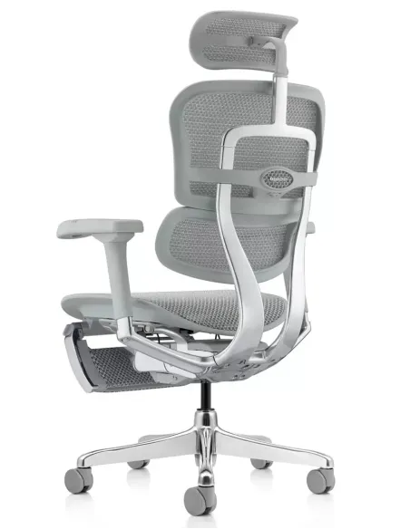 Крісло ERGOHUMAN ELITE 2 (EHE2-AG-HAM-5D-L-LM, сітка T-168-B2 Natural), ергономічне, з підставкою під ноги