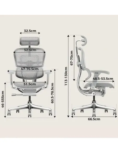 Кресло ERGOHUMAN ELITE 2 (EHE2-AG-HAM-5D-L-LM, сетка T-168-B2 Natural), эргономичное, с подставкой под ноги