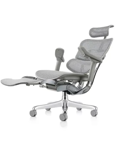 Кресло ERGOHUMAN ELITE 2 (EHE2-AG-HAM-5D-L-LM, сетка T-168-B2 Natural), эргономичное, с подставкой под ноги