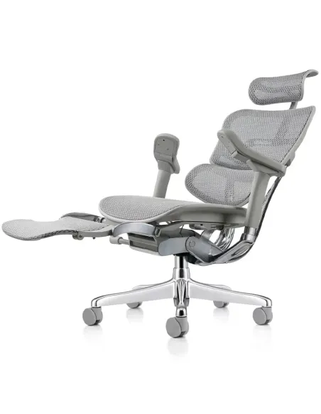 Кресло ERGOHUMAN ELITE 2 (EHE2-AG-HAM-5D-L-LM, сетка T-168-B2 Natural), эргономичное, с подставкой под ноги