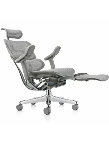 Кресло ERGOHUMAN ELITE 2 (EHE2-AG-HAM-5D-L-LM, сетка T-168-B2 Natural), эргономичное, с подставкой под ноги