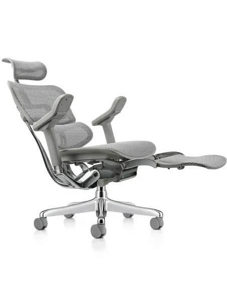 Кресло ERGOHUMAN ELITE 2 (EHE2-AG-HAM-5D-L-LM, сетка T-168-B2 Natural), эргономичное, с подставкой под ноги
