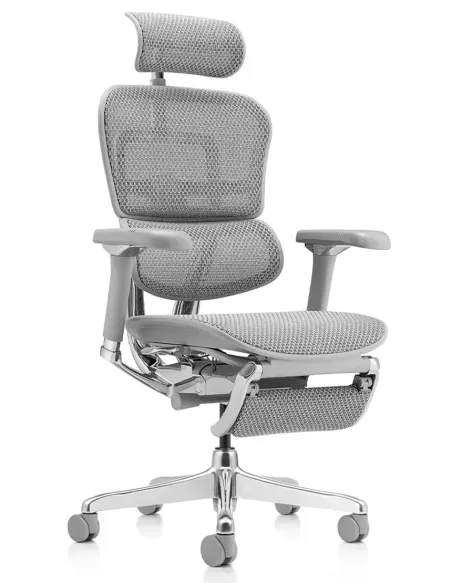 Крісло ERGOHUMAN LUXURY 2 (EHL2-AG-HAM-5D-D-LM, сітка Т-168-B2 Natural), ергономічне, з підставкою під ноги