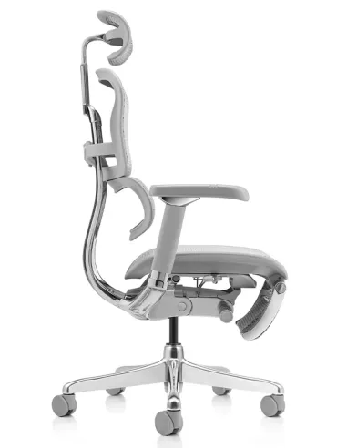 Крісло ERGOHUMAN LUXURY 2 (EHL2-AG-HAM-5D-D-LM, сітка Т-168-B2 Natural), ергономічне, з підставкою під ноги